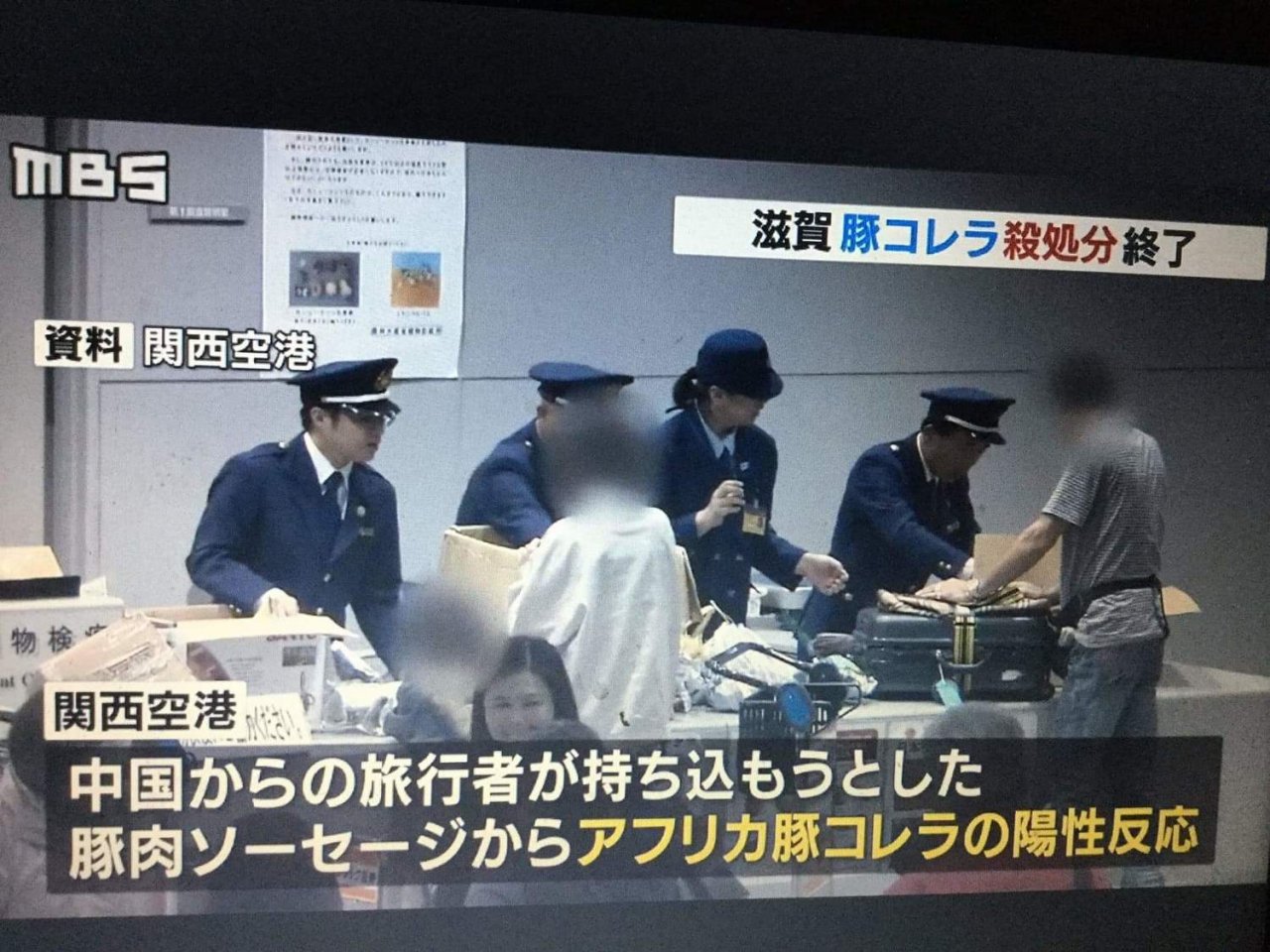 旅日作家劉黎兒：日本不像台灣這麼嚴格管制才讓豬瘟疫情擴大