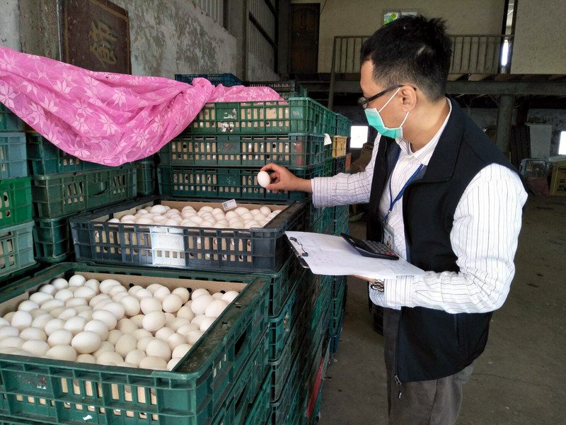 芬普尼蛋再現 陳吉仲：市面上蛋品安全無虞