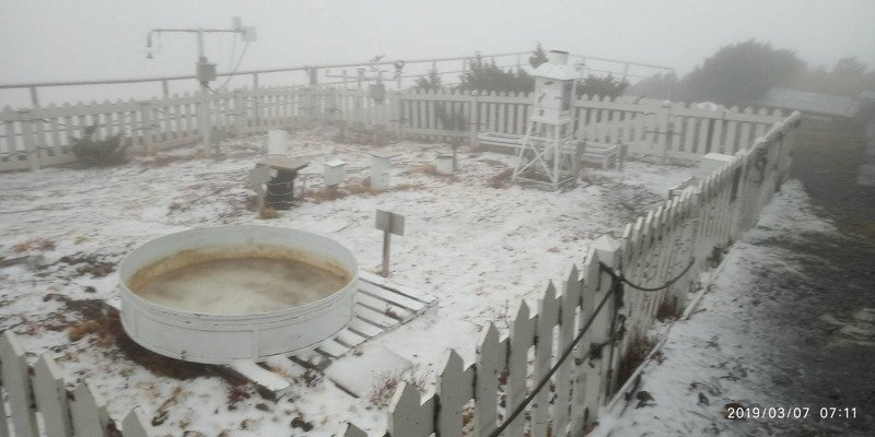 強烈大陸冷氣團報到 玉山積雪