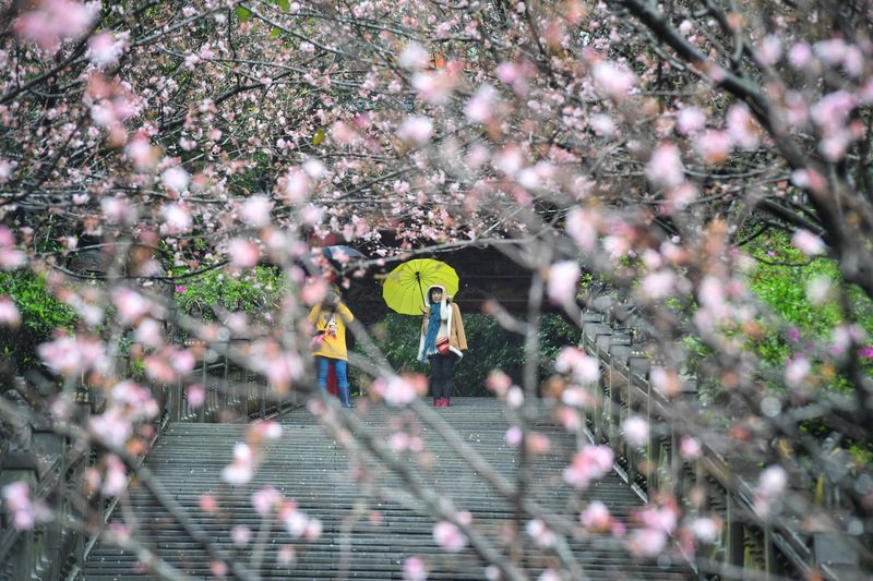 老天無常 未來一周晴雨交替、乍暖還寒