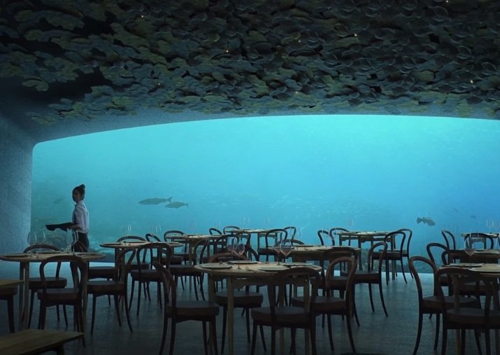 歐洲首座水下餐廳挪威開張 美食佐無敵海底美景