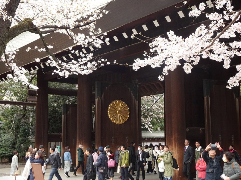 日總務大臣參拜靖國神社 安倍內閣第二人