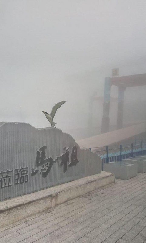 馬祖大霧  航空海運都受影響