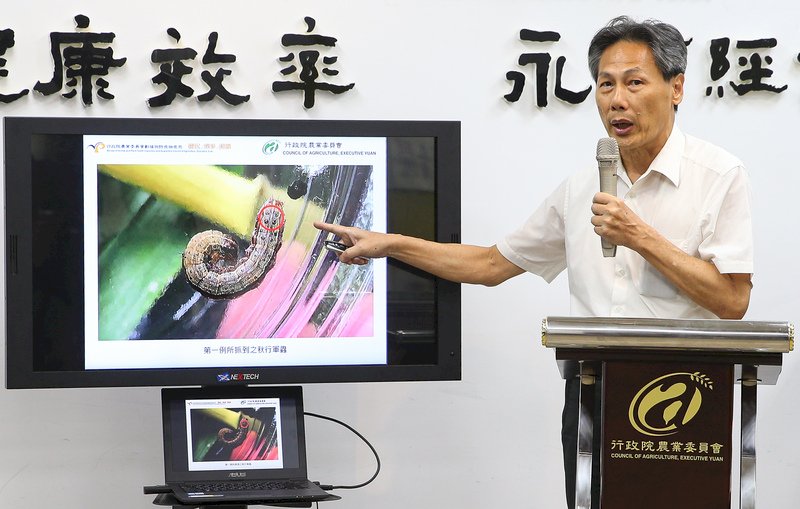 農委會：清除秋行軍蟲 2至3週內是關鍵