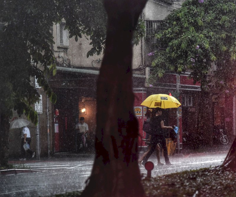 黃蜂颱風襲台機率偏低 梅雨鋒面相互作用待觀察
