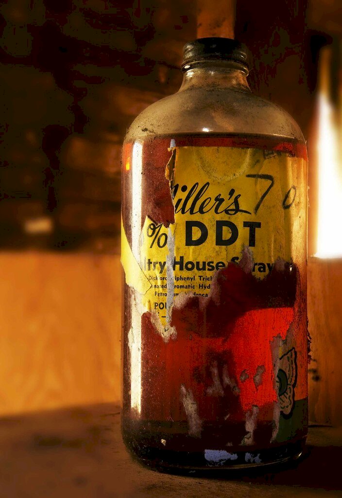 禁用50年 加拿大湖泊仍驗出DDT