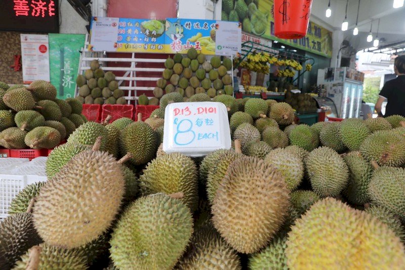 新加坡榴槤旺季 老饕銅板價搶購萬果之王