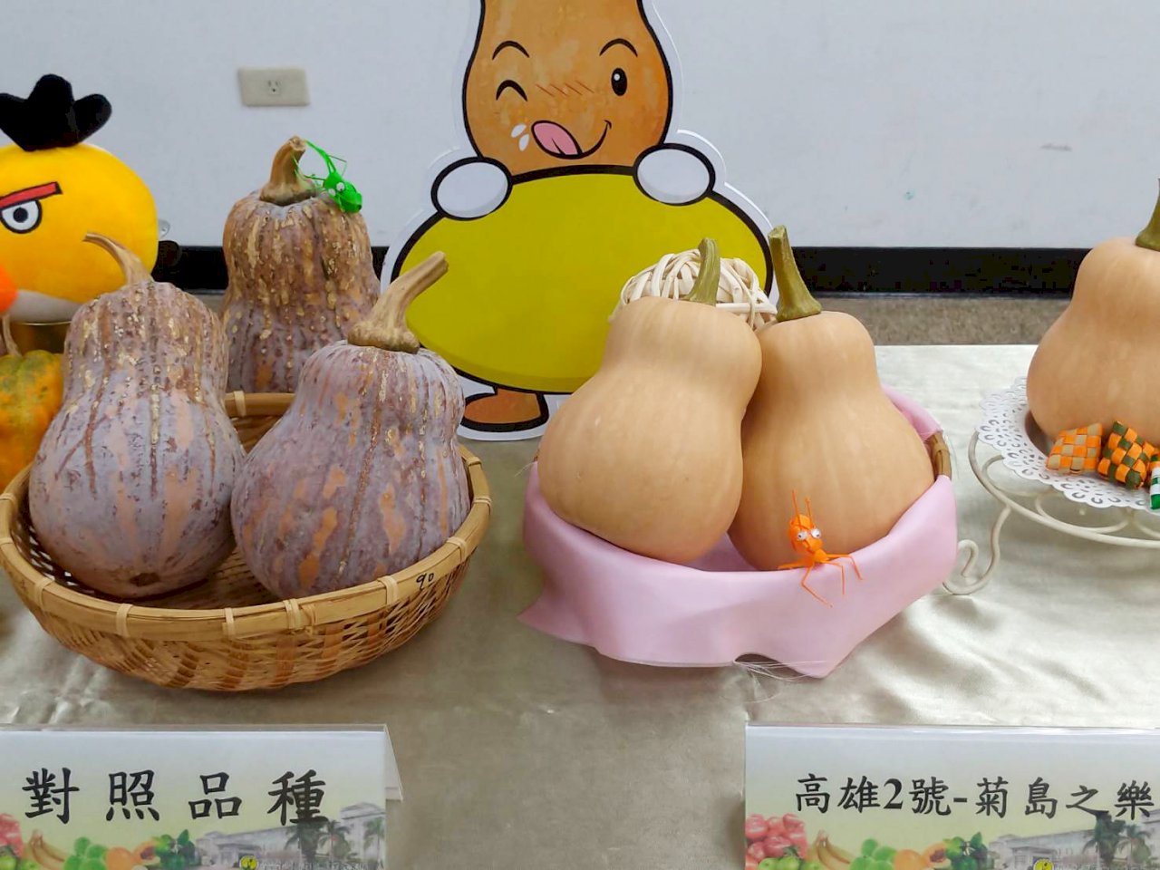 不再沈甸甸 輕巧南瓜600克明年5月量產上市