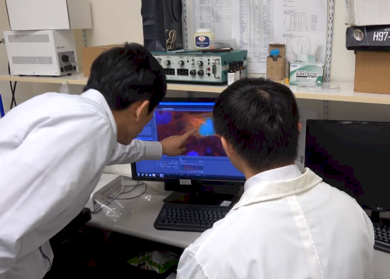 台法合作找出小兒惡性腦瘤關鍵機轉 研發藥物有望