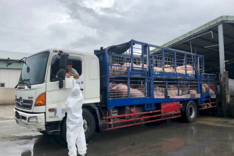 非洲豬瘟國際疫情仍延燒 台運輸車全面裝GPS倒數