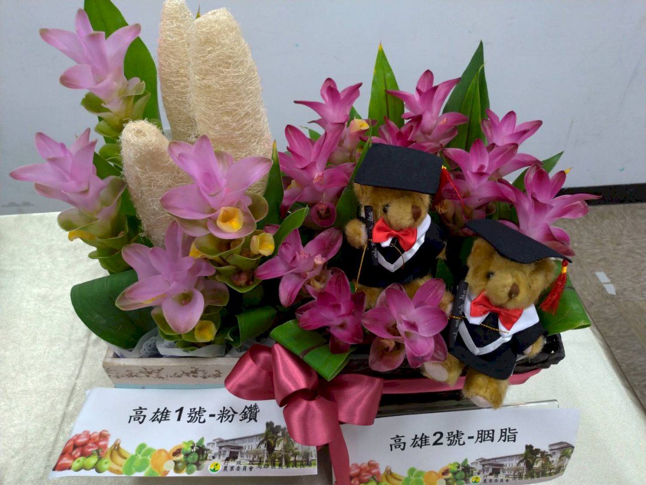 熱帶鬱金香「薑荷花」  30年來首育成本土種