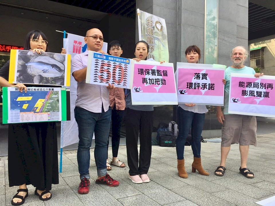 風機開發疑未依法派鯨豚觀察員出海 環署：掌握事證中
