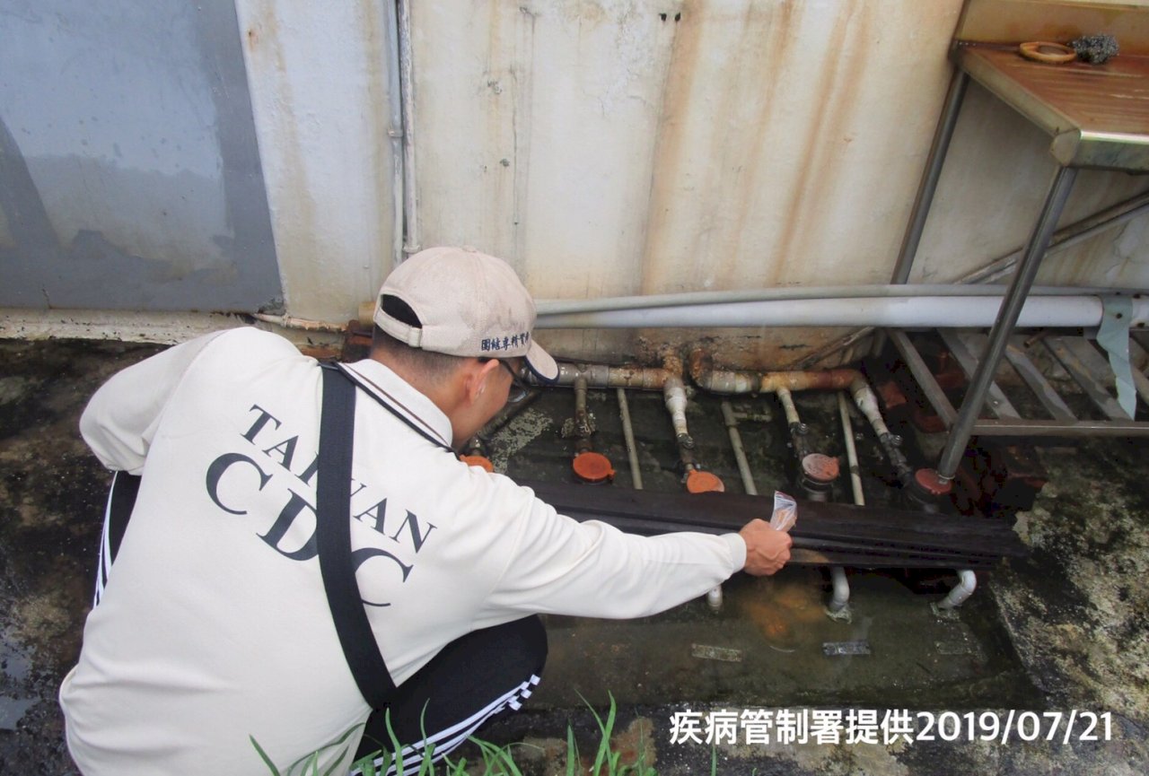 高雄今確診1例本土登革熱  全台共計56例