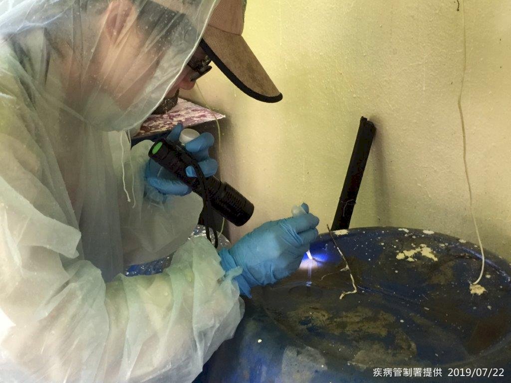 本土登革熱新添2例 總病例數達58例
