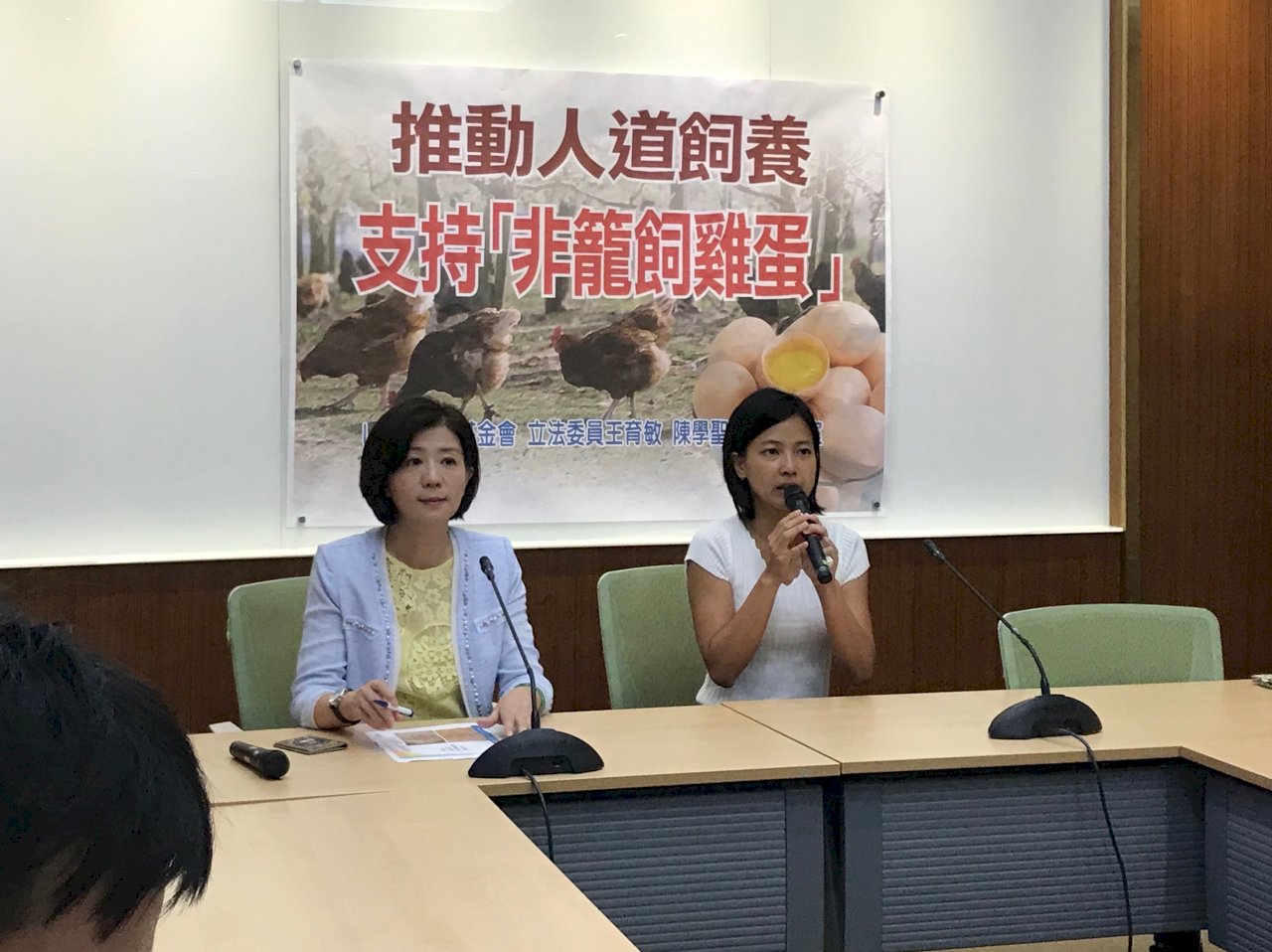 飼養方式影響蛋品品質 動保組織推「非籠飼雞蛋」