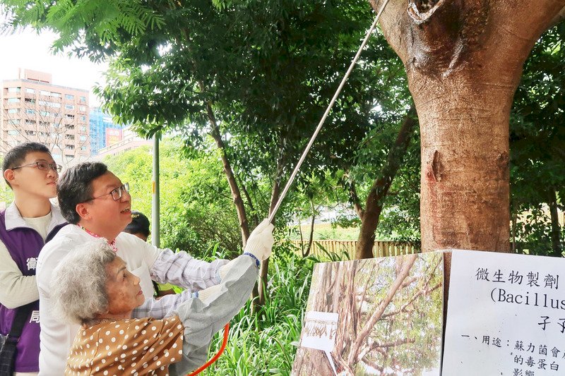 蘇力菌噴樹洞防登革熱 鄭文燦：這是正確且安全做法