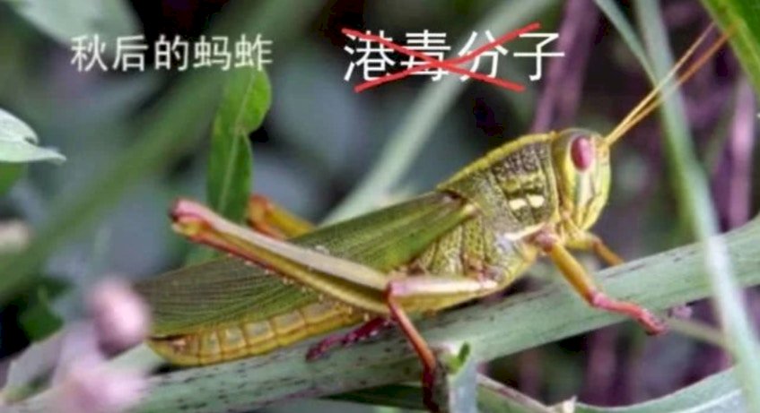 共軍東部戰區陸軍貼文恐嚇反送中 不久又自刪