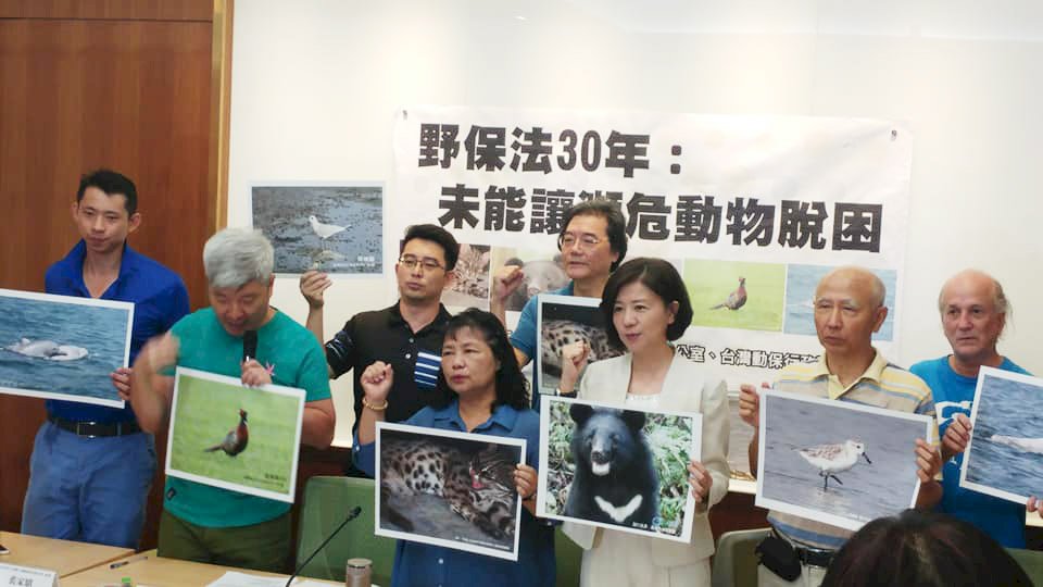 助瀕危動物脫困 動保團體籲修動保法將復育入法