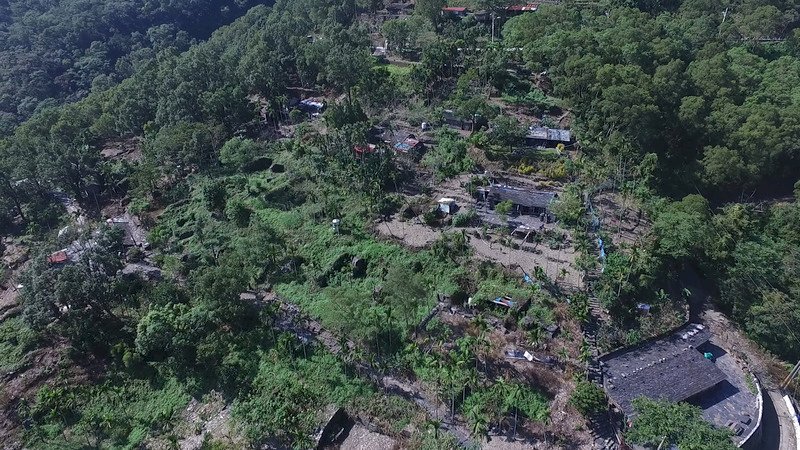 感謝政院通過擴大原保地禁伐補償 原轉會委員：尊重原民是真正主人