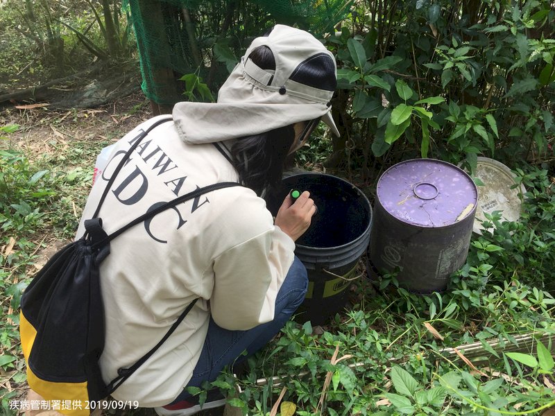 網傳中和烘爐地周邊為屈公病疫區 疾管署駁不實謠言