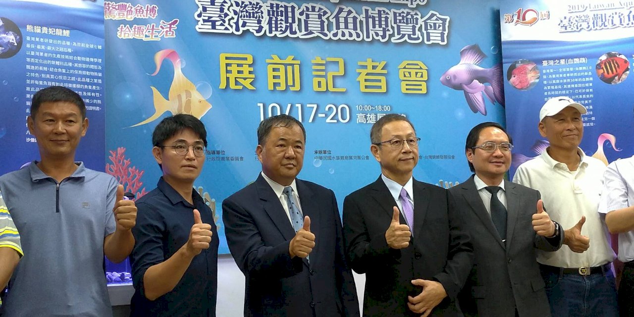 觀賞魚南向攻印度市場 黃金甲神仙魚1對16萬