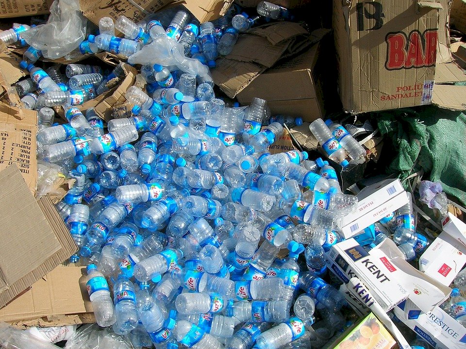 研究：塑膠袋與氣球 令海洋動物窒息