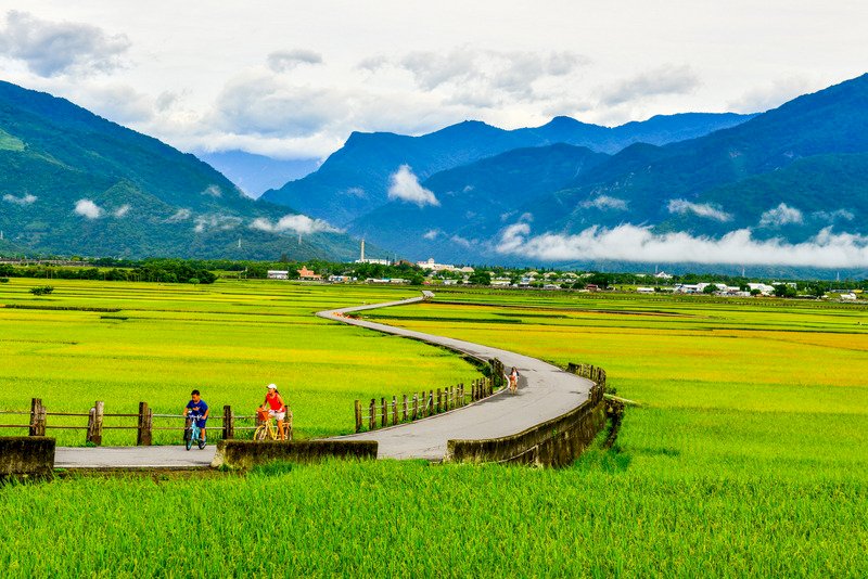 旅外人士最愛何處？台灣連續3年居冠