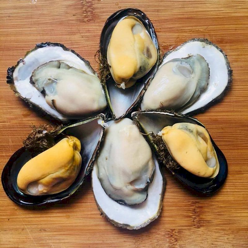 台灣牛肉麵百家爭鳴  淡菜盛產鮮甜海味正當時