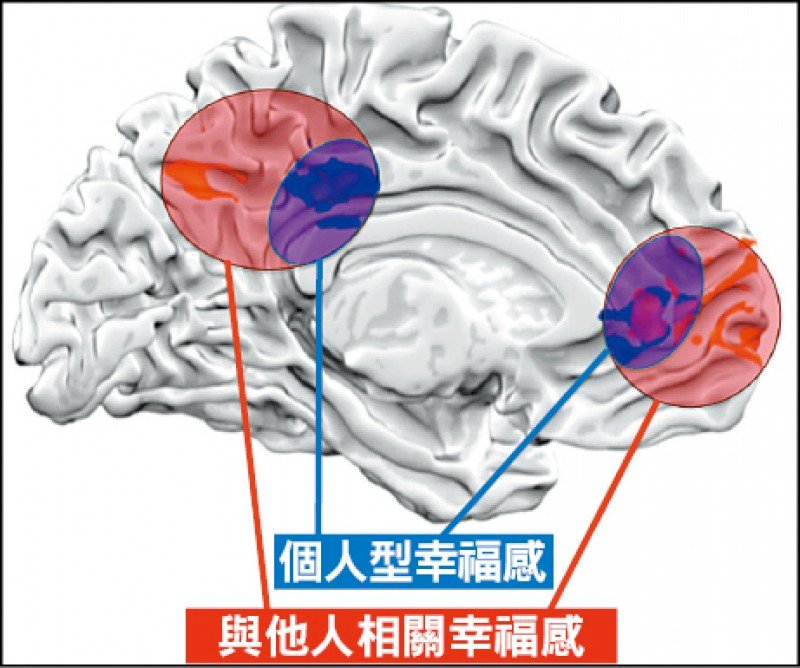 ◎幸福感，大腦看得到！研究發現，看到他人幸福時，自己會更快樂！體會家人幸福的快樂，大於畢業、中獎等個人感受。