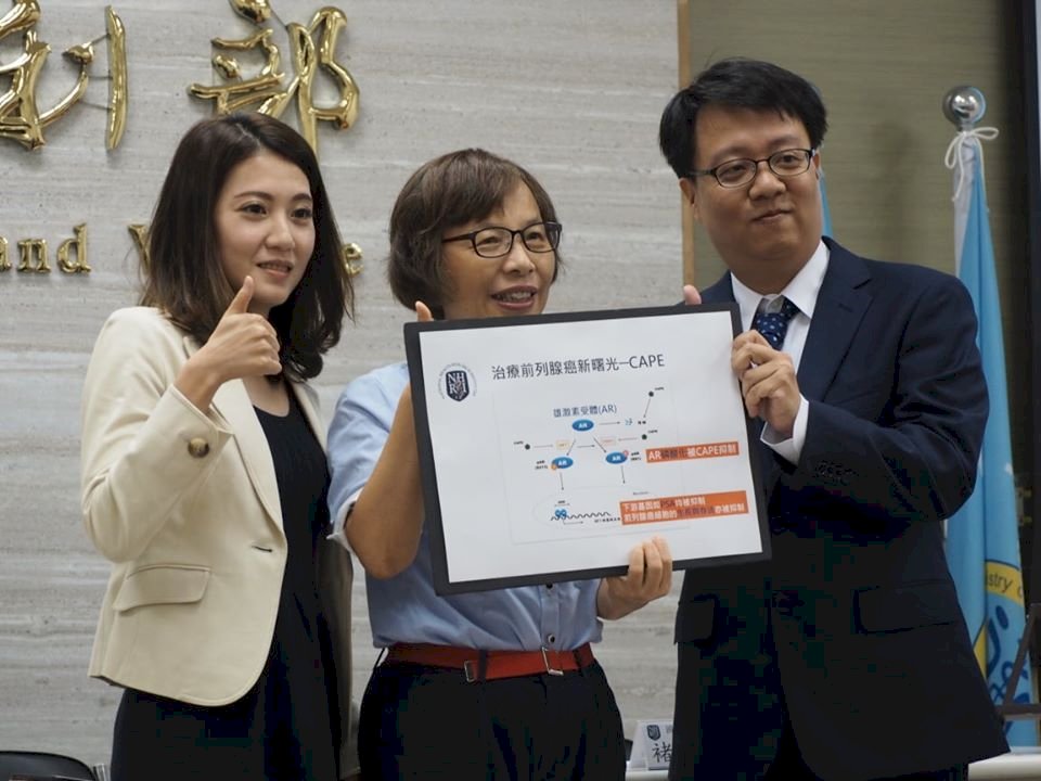 蜂膠萃取物可抑制前列腺癌復發 國衛院研究獲刊國際期刊