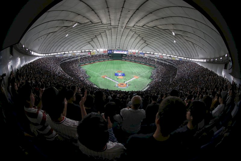 12強日韓大戰湧進4萬觀眾 日本10比8勝韓國