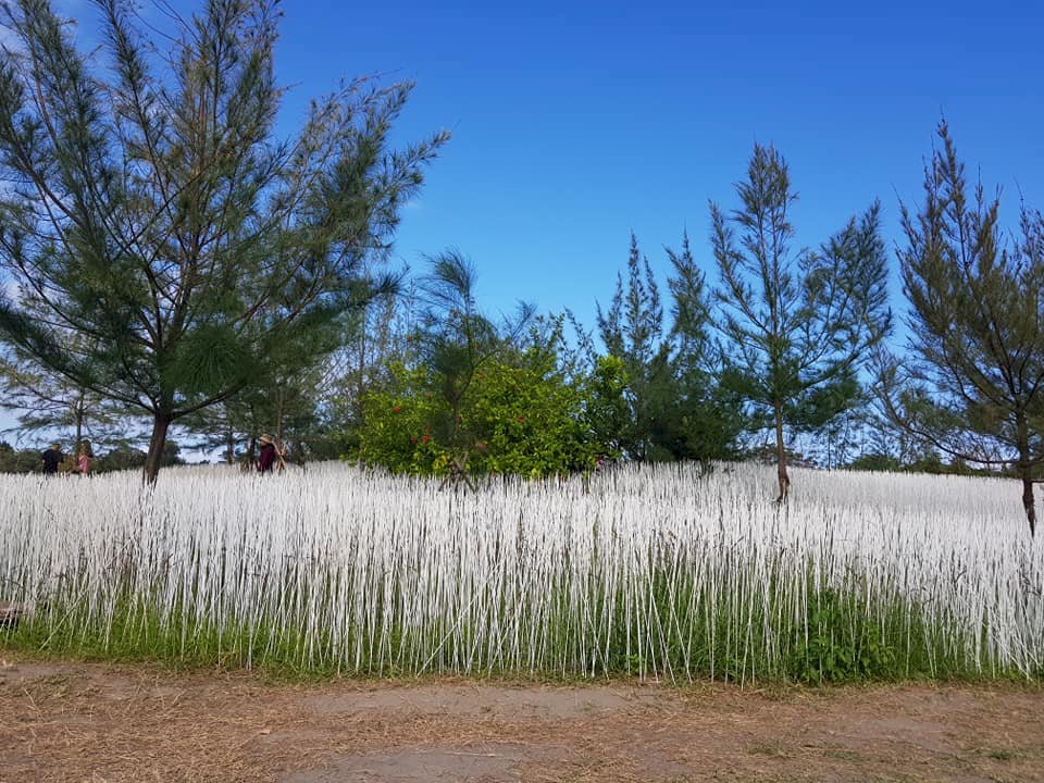 觀光助力！壯圍沙丘地景藝術成打卡熱點