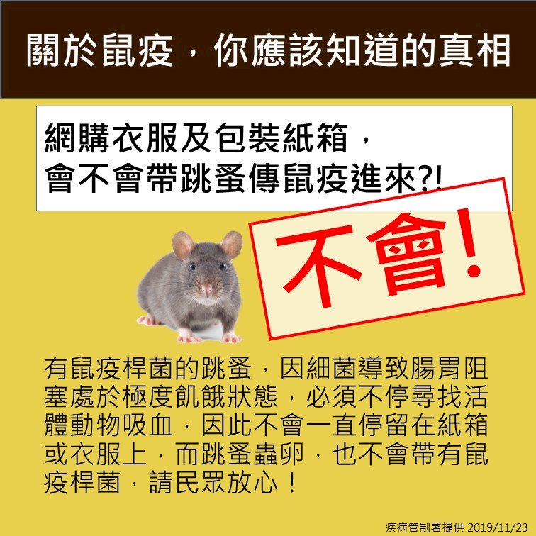 網傳鼠疫跳蚤恐隨網購包裹襲台 疾管署闢謠