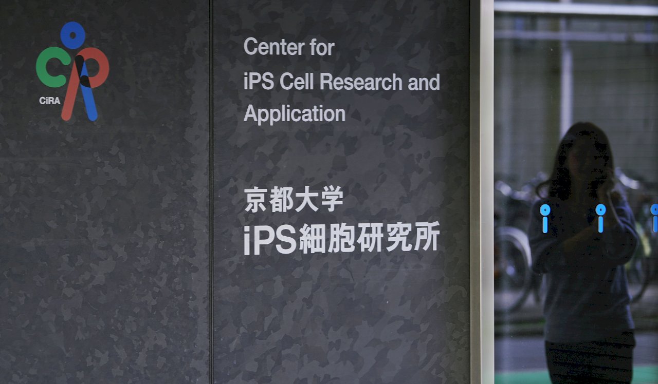 日本推製作個人化自體iPS細胞  4月起自動化量產