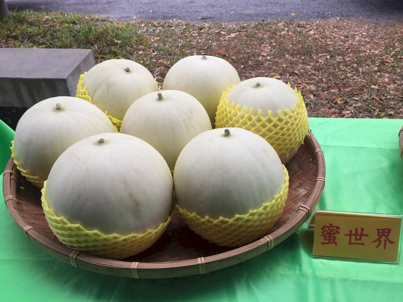 童年的餐車記憶  難忘的美濃瓜的味道