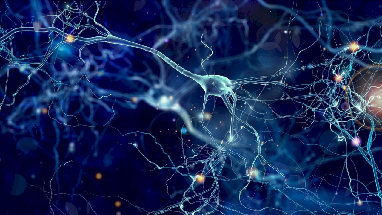英科學家：漸凍症可能與膽固醇失衡有關
