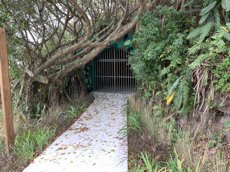 從未開放過的二戰史跡  四八高地戰備坑道元旦起亮相