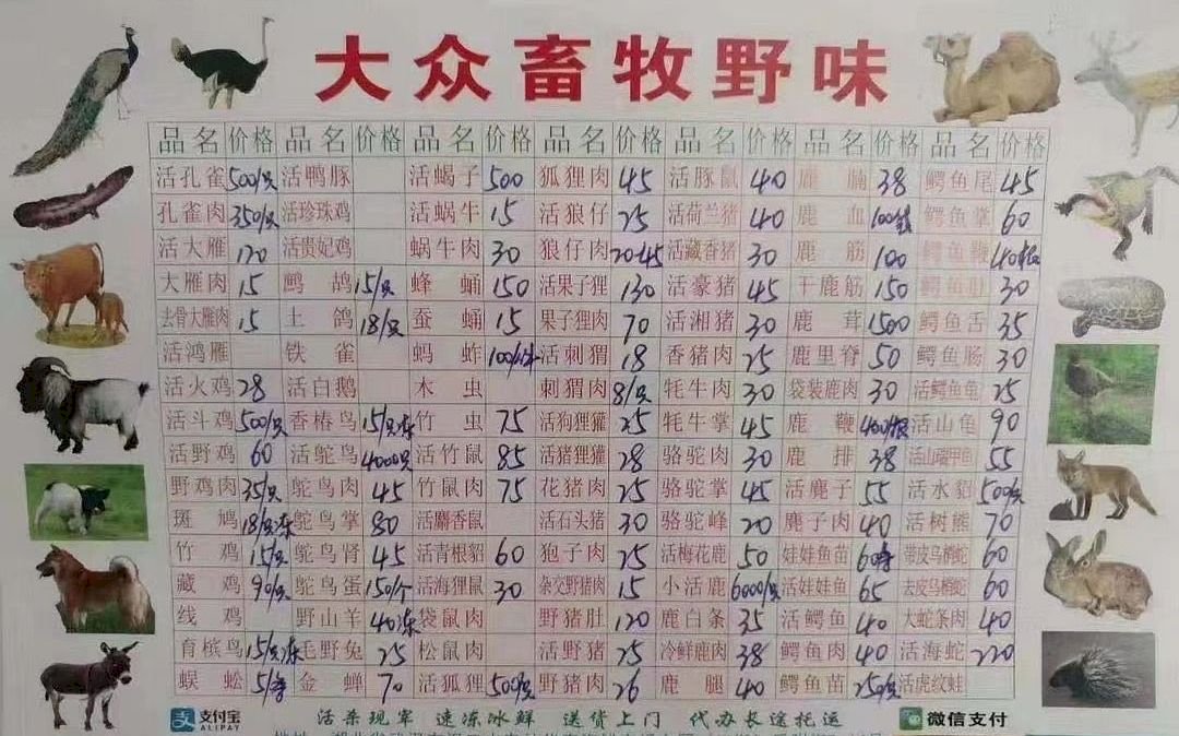 武漢肺炎疫情延燒 北京下令禁止全國野味交易