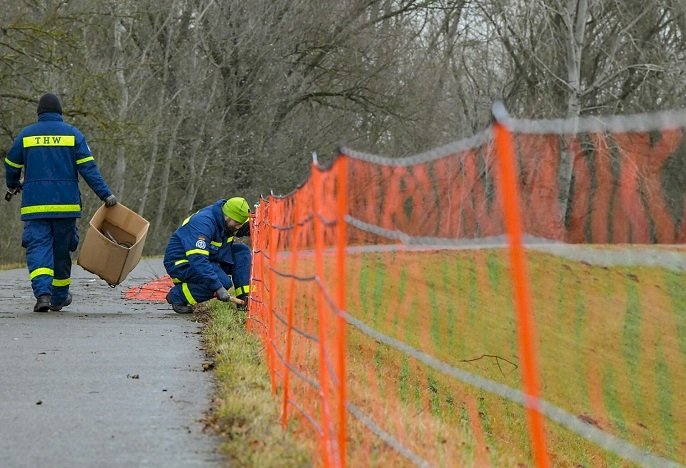 憂野豬帶入非洲豬瘟 德國邊境設通電柵欄