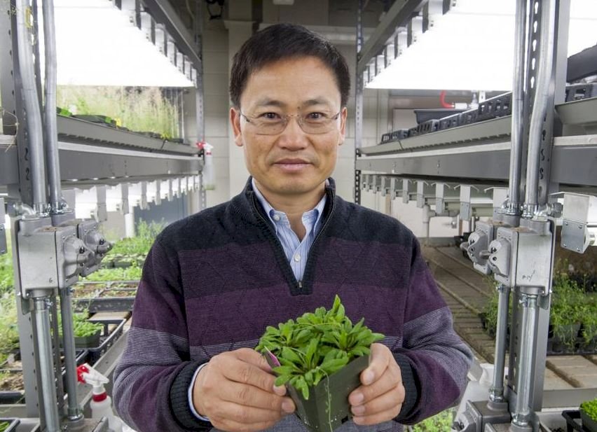 中國專家：不提倡戴手套 是當前防疫巨大漏洞