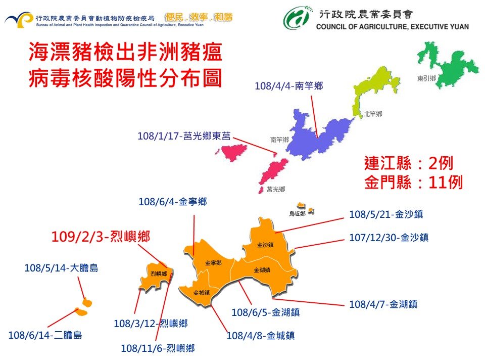 金門又現海漂死豬  驗出非洲豬瘟