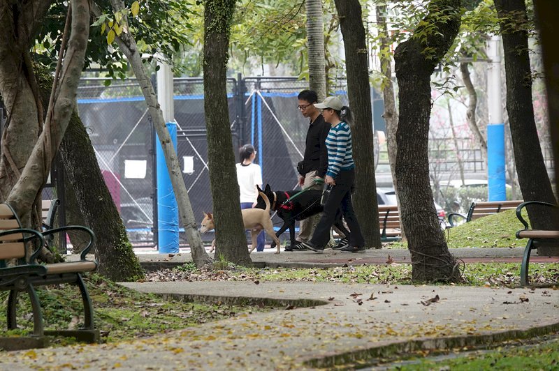 冷氣團減弱水氣減少 北部高溫回到24度