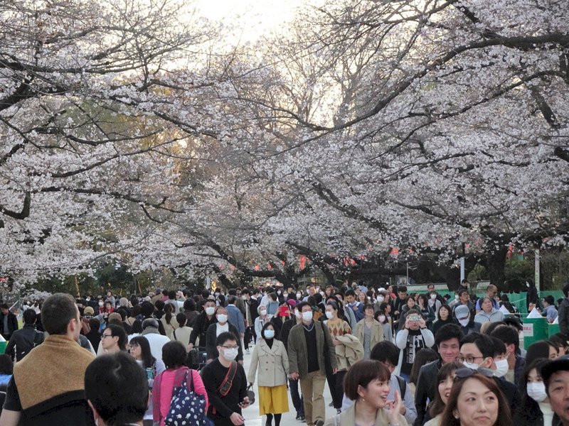 日本入境加嚴！ 陸網友：中國放開  國外關門