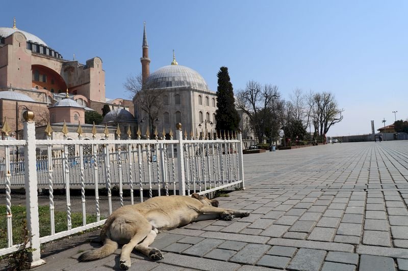 土耳其武漢肺炎增343例 累計1872確診44死