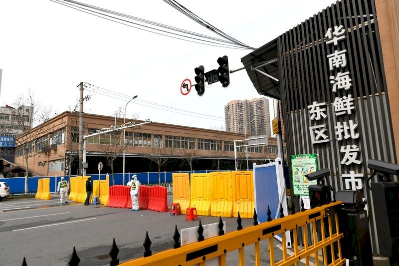 武漢零號病人有誤？美專家主張疫情源自海鮮市場