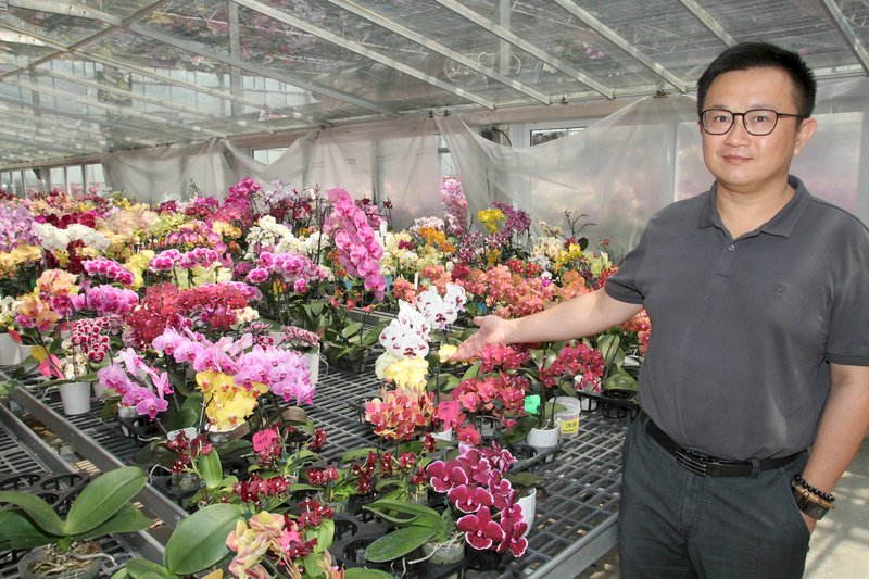 忍痛銷毀外銷蘭苗 蘭農盼撐過疫情