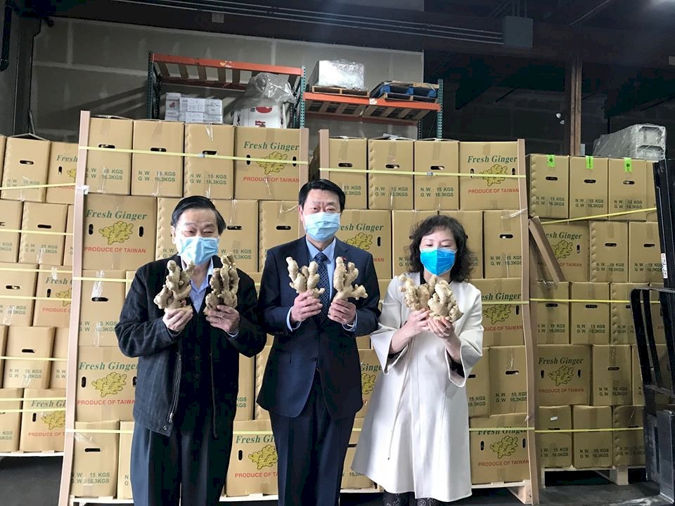 貿協助台農產開闢新商機 台灣薑叩關美國西北