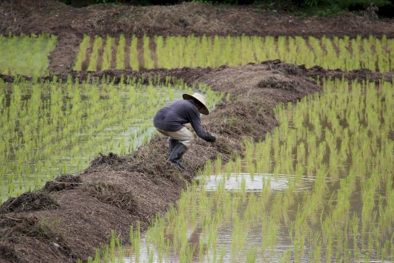 陳光誠：中共的「1號檔」就是公然的欺騙