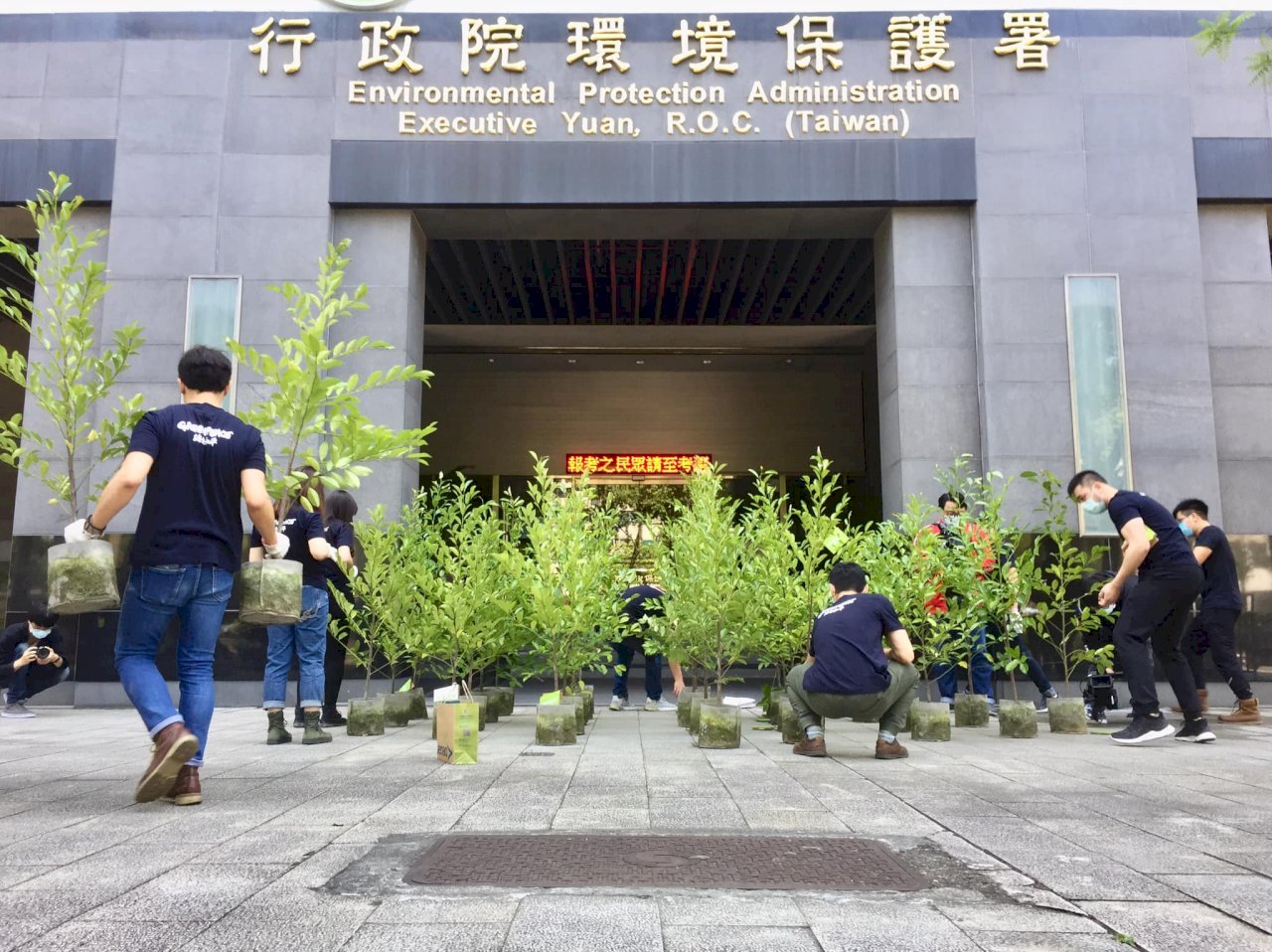 綠色和平搬樹送環保署 促政府啟動「綠色紓困」 (影音)