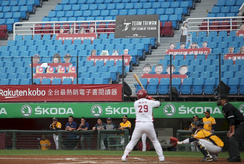 台灣職棒國際矚目 紐時：象徵戰勝疫情舉國自豪